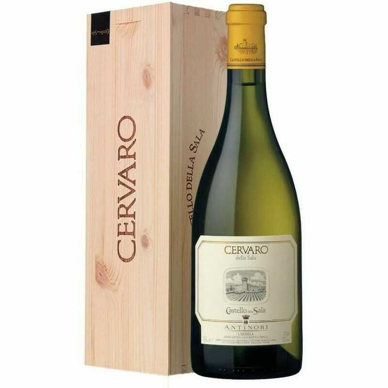 Cervaro della Sala 2019 (magnum)