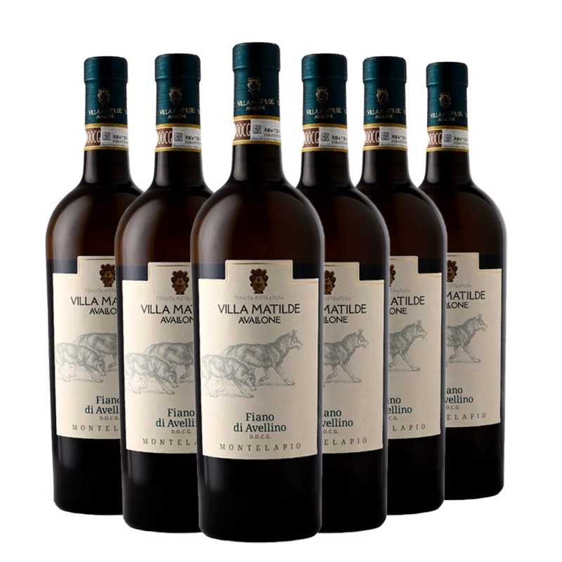 Fiano di Avellino Montelapio 2022 Box da 6 bottiglie