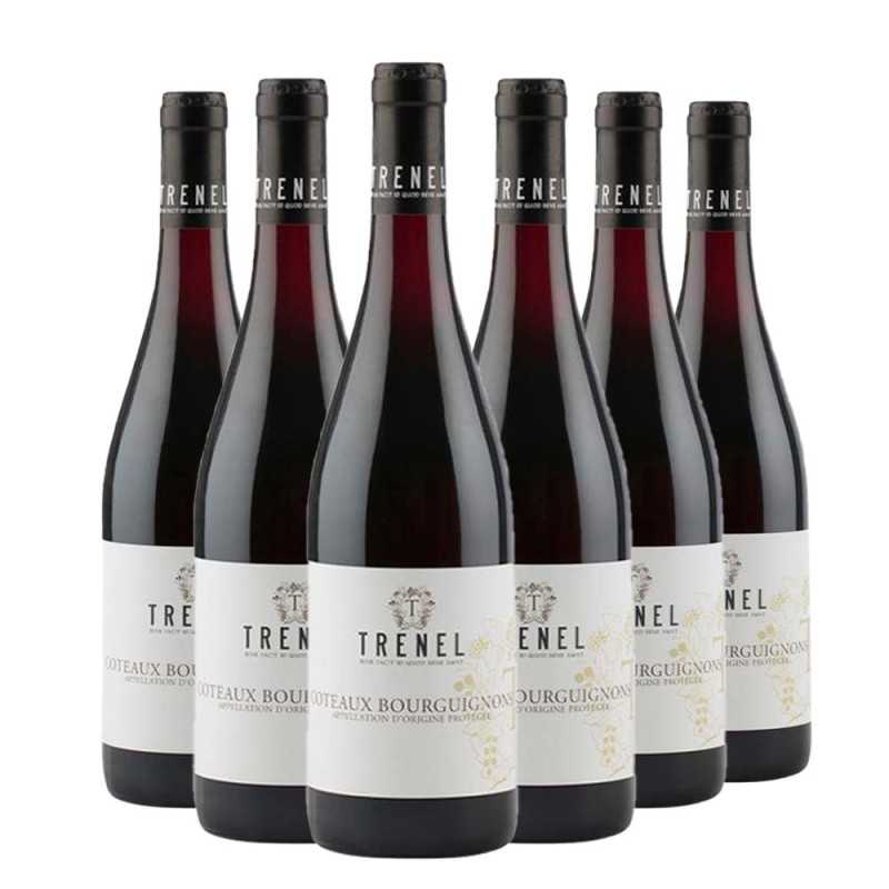 Coteaux Bourguignons 2022 Box da 6 bottiglie