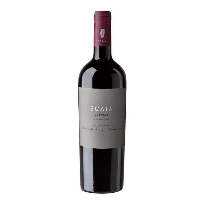 Scaia Corvina 2021